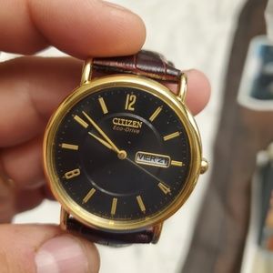 Nice mens citizen ecodrive upgraded band from pari